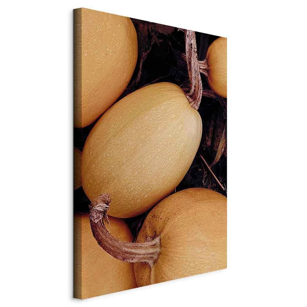 Slika Na Platnu Fall Season - temno rjava/oranžna, Basics, tekstil/leseni material (40/60/1,2cm) - artgeist