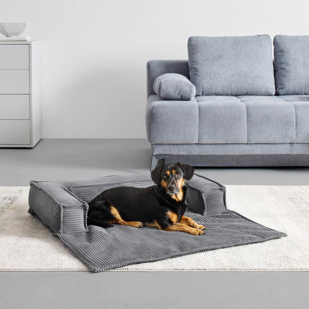 Hundesofa Pet Flat Dunkelgrau - Dunkelgrau, KONVENTIONELL, Textil (105/20/105cm) - Mömax