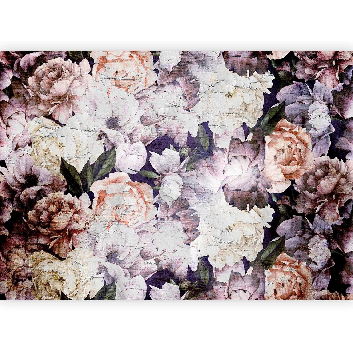 Fototapeta Peonies In A Garden, 100x70cm - lila/krem barve, Trendi, tekstil (100/70cm) - artgeist