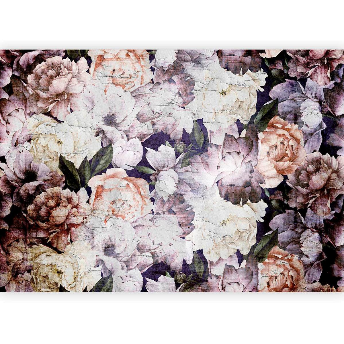 Fototapeta Peonies In A Garden, 100x70cm - lila/krem barve, Trendi, tekstil (100/70cm) - artgeist