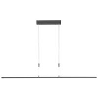 LAMPA WISZĄCA LED 60016 - czarny, Design, metal (6/160cm) - Fischer & Honsel