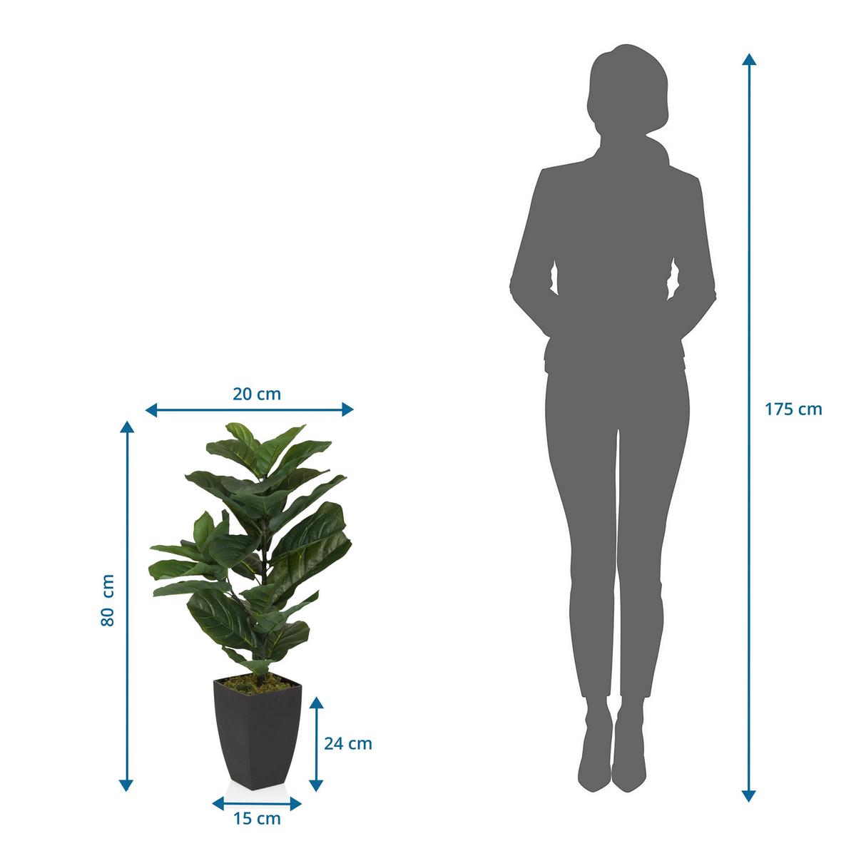 Umetna Rastlina Lyrata - črna/zelena, Moderno, umetna masa (20/80/20cm) - MID.YOU