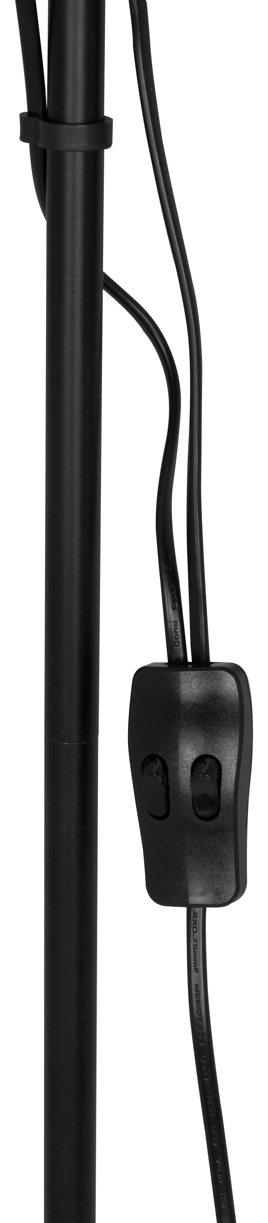 Podna Svjetiljka Vanessa-Based- - prozirno/crna, Konvencionalno, metal/plastika (22,5cm) - Best Price