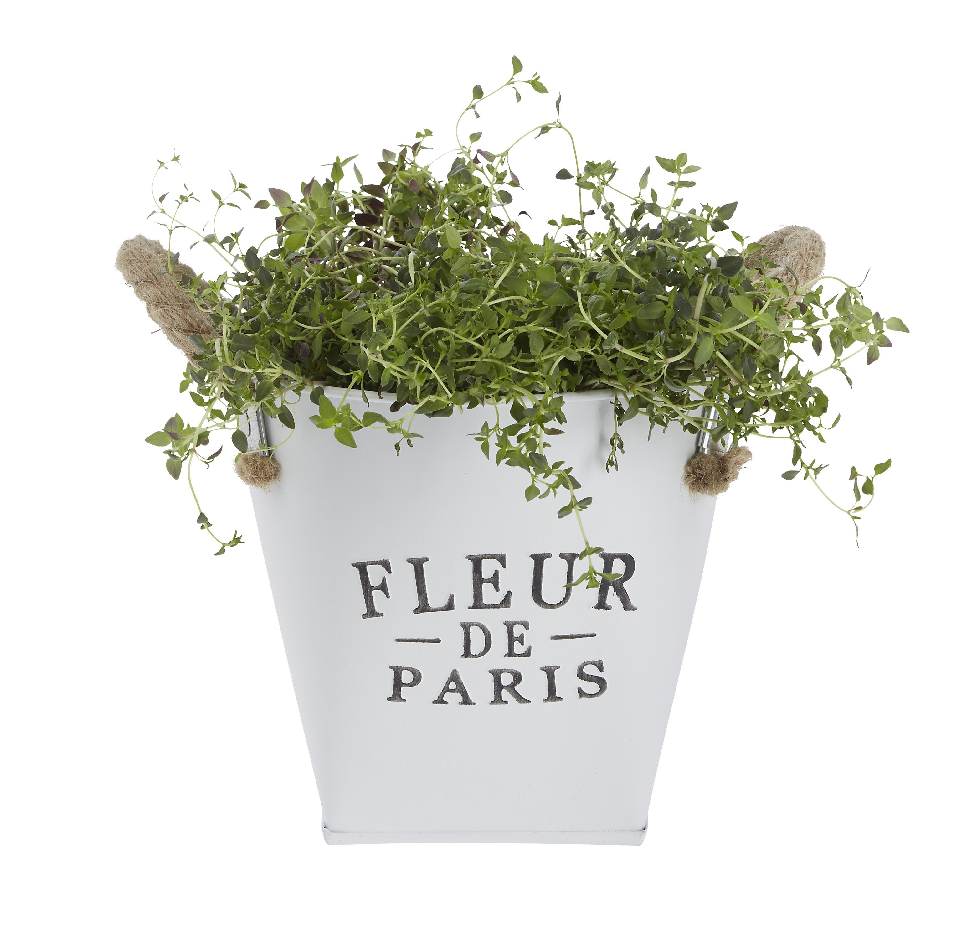 Übertöpfe & Blumenampeln zum Hängen Blumenübertöpfe mömax.at