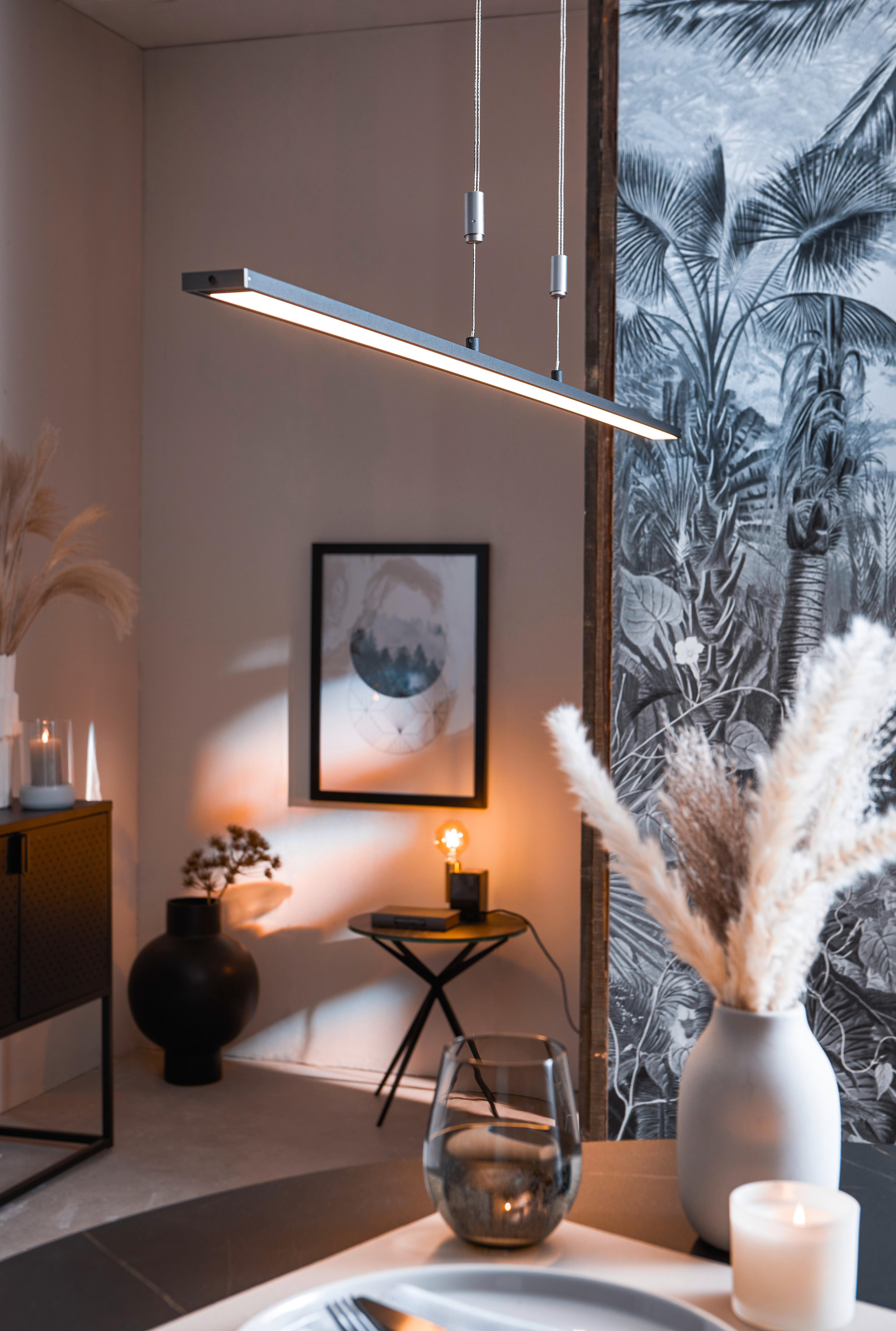 LAMPA WISZĄCA LED 60016 - czarny, Design, metal (6/160cm) - Fischer & Honsel