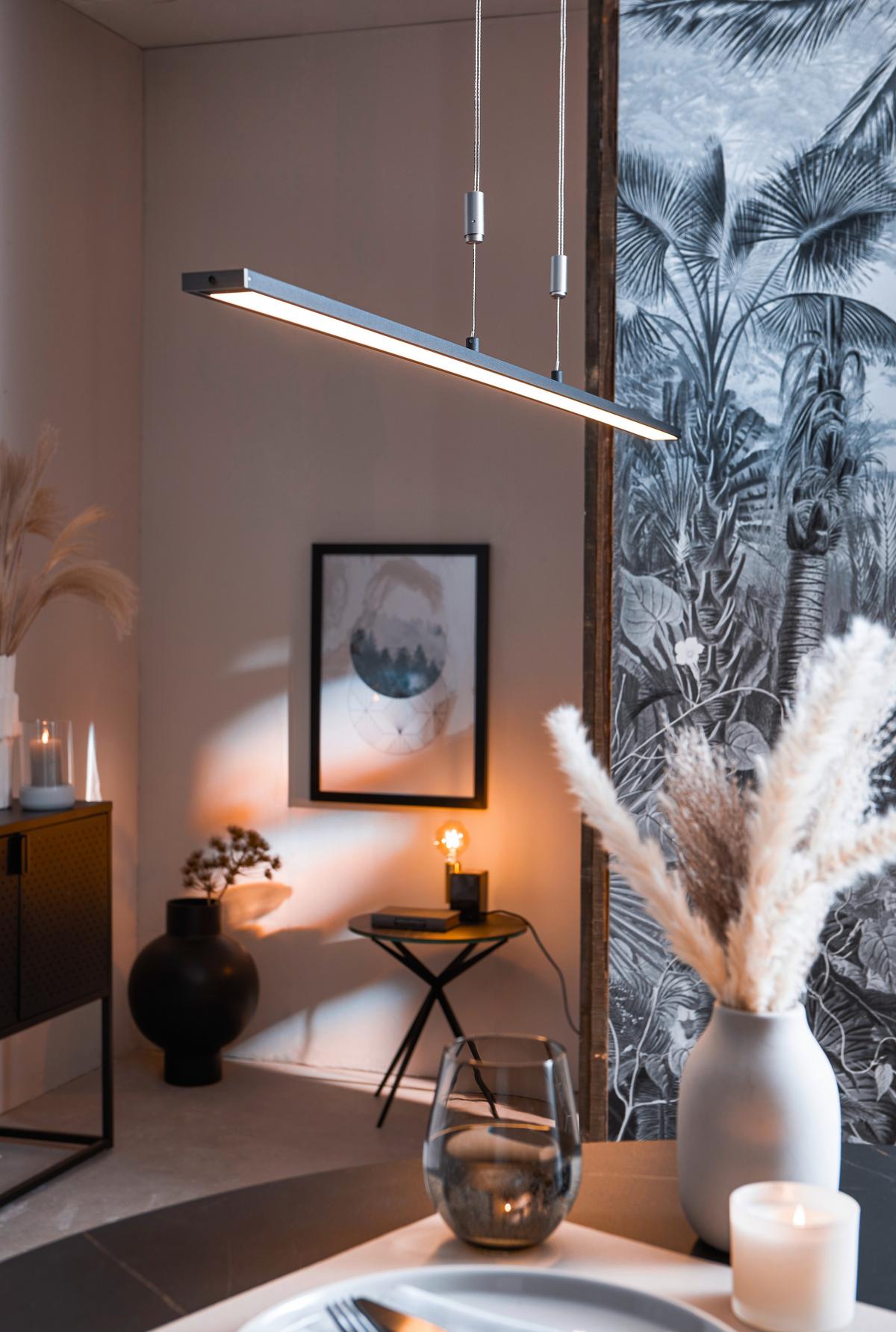 LAMPA WISZĄCA LED 60016 - czarny, Design, metal (6/160cm) - Fischer & Honsel