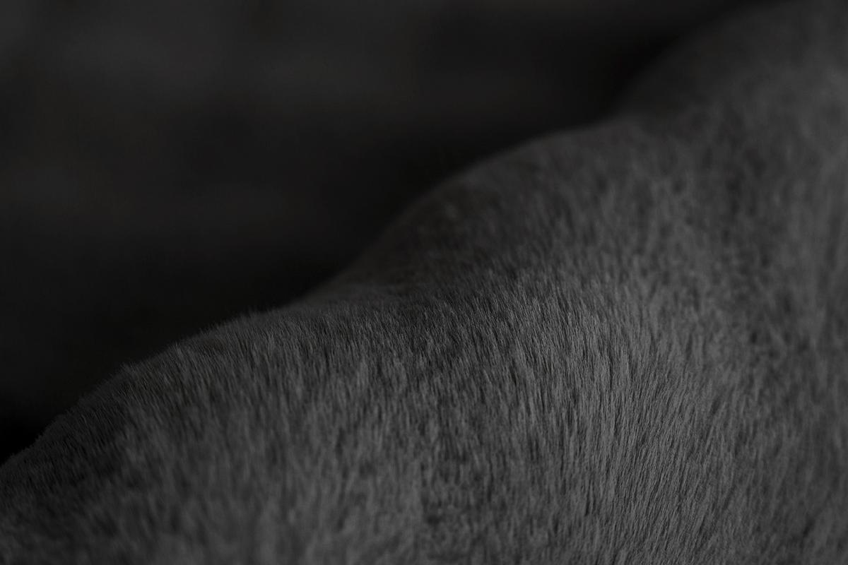 HOCHFLORTEPPICH Hailey 125 Schwarz 200 x 290 - Schwarz, Basics, Textil (200/290cm) - Kayoom