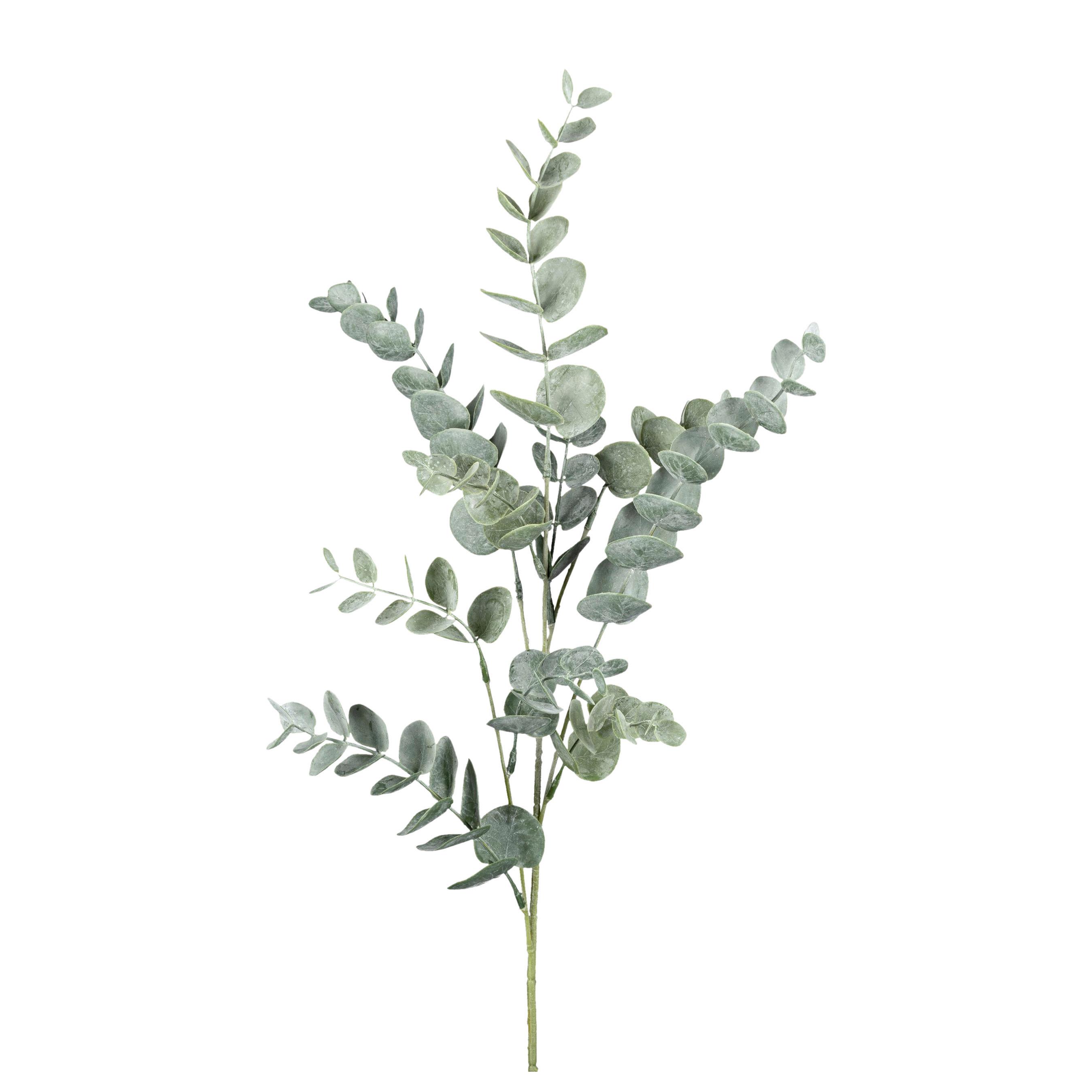 Kustpflanze Eucalyphtuszweig Grün - Grau/Grün, Basics, Kunststoff (43cm) - Modern Living