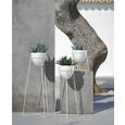 Pflanztopf Pura Weiß 20x52 cm - Weiß, Kunststoff (20/52cm) Pflanztopf Pura Weiß 20x52 cm - Weiß, Kunststoff (20/52cm)