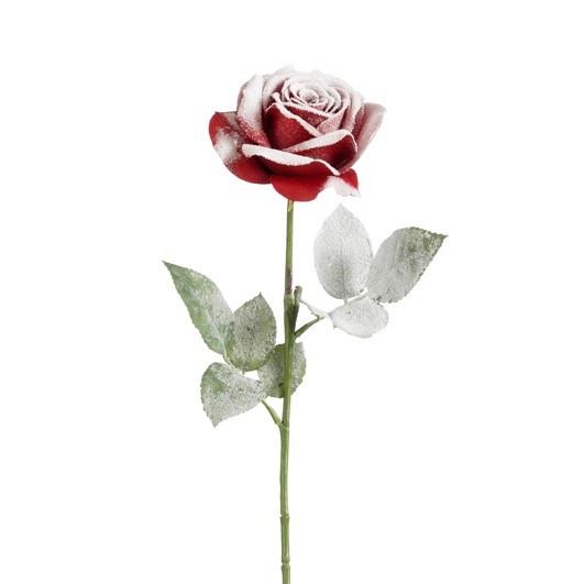 Vrtnica 1203812 - Moderno (65cm)