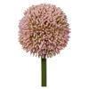 Allium II Rosa/Grün ca. 64cm - Rosa/Grün, KONVENTIONELL, Kunststoff/Metall (64ml)