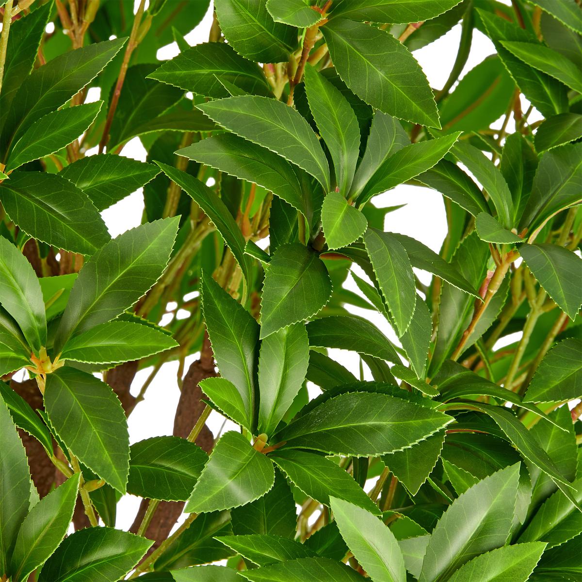 Kunstpflanze Pieris Japonica Grün/Braun/Schwarz - Schwarz/Braun, Basics, Kunststoff (190cm)