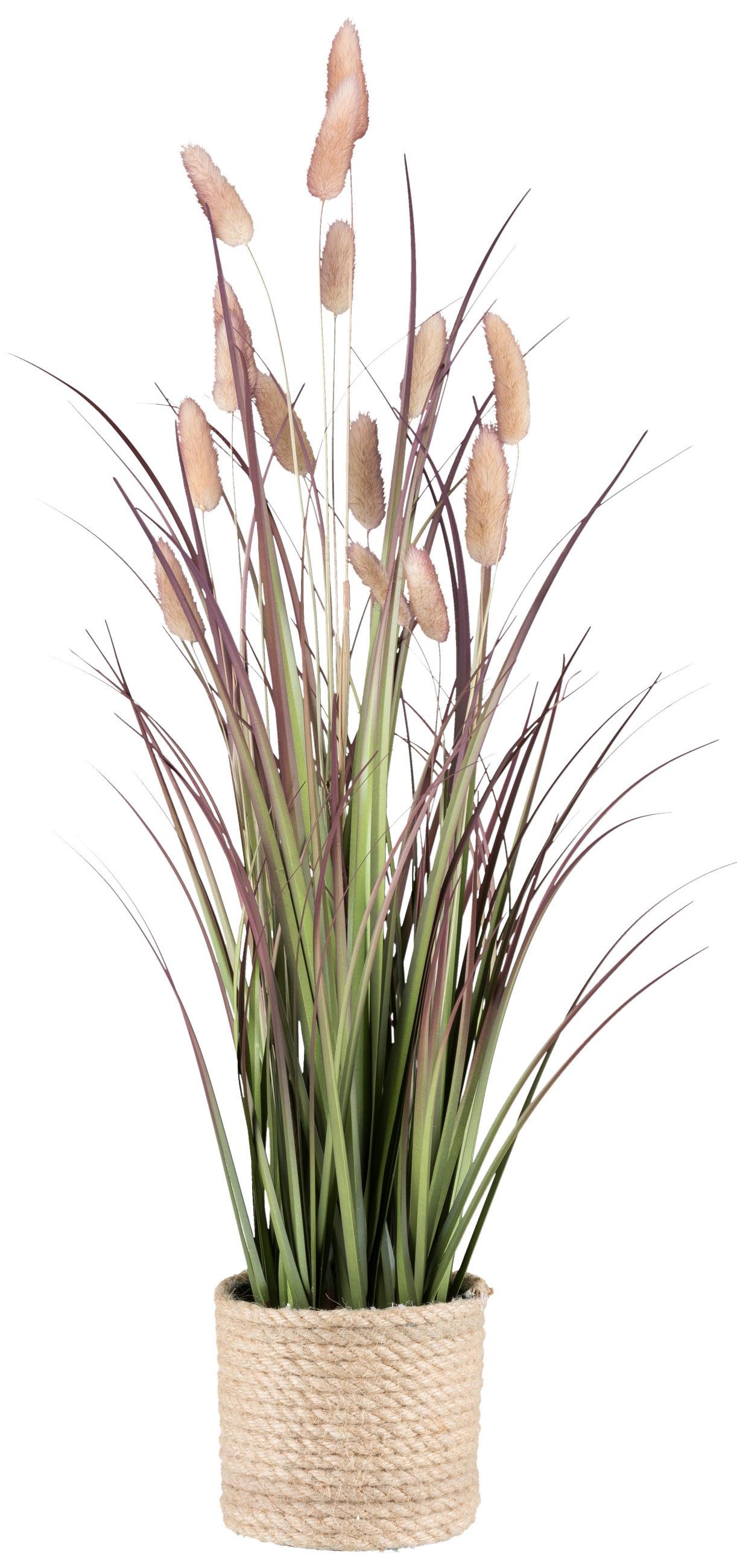 Umetna Rastlina Grasbusch Ii - roza/zelena, Konvencionalno, umetna masa/naravni materiali (60cm) - Modern Living