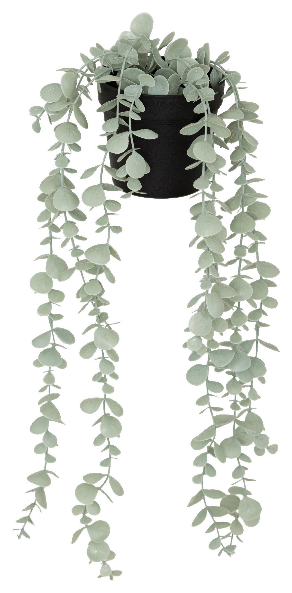 Biljka Umjetna Eukalyptus - zelena/boje kadulje, Basics, plastika (18/51/13cm) - Mömax