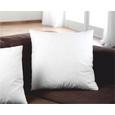 Polnilo Za Blazino Fritz - bela, tekstil (45/45cm) - Mömax modern living Polnilo Za Blazino Fritz - bela, tekstil (45/45cm) - Mömax modern living