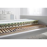 Set Vzmetnice In Letvene Podlage Rocky, 90x200 Cm - barve breze, les (90/200cm) - Nadana