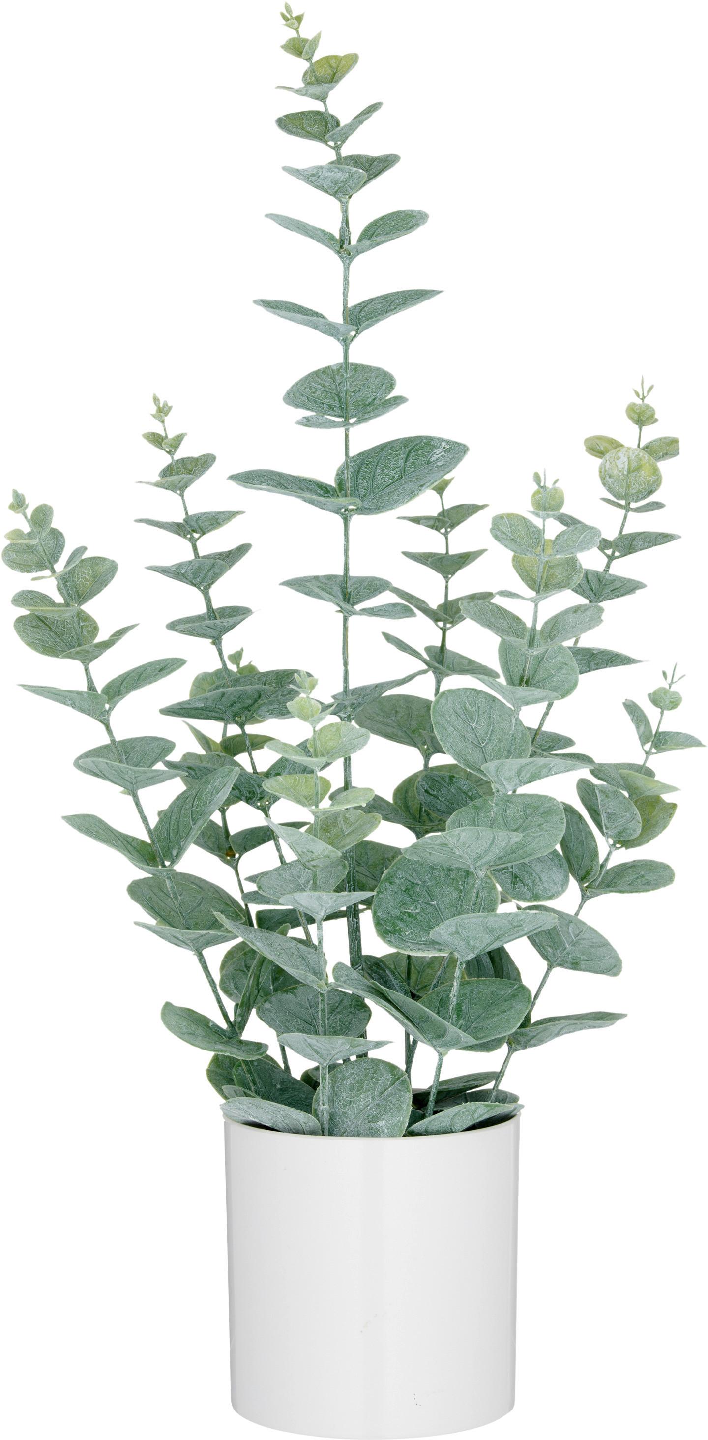 Kunstpflanze Eukalyptus I Grau/Grün - Weiß/Grau, LIFESTYLE, Kunststoff (52cm) - Mömax