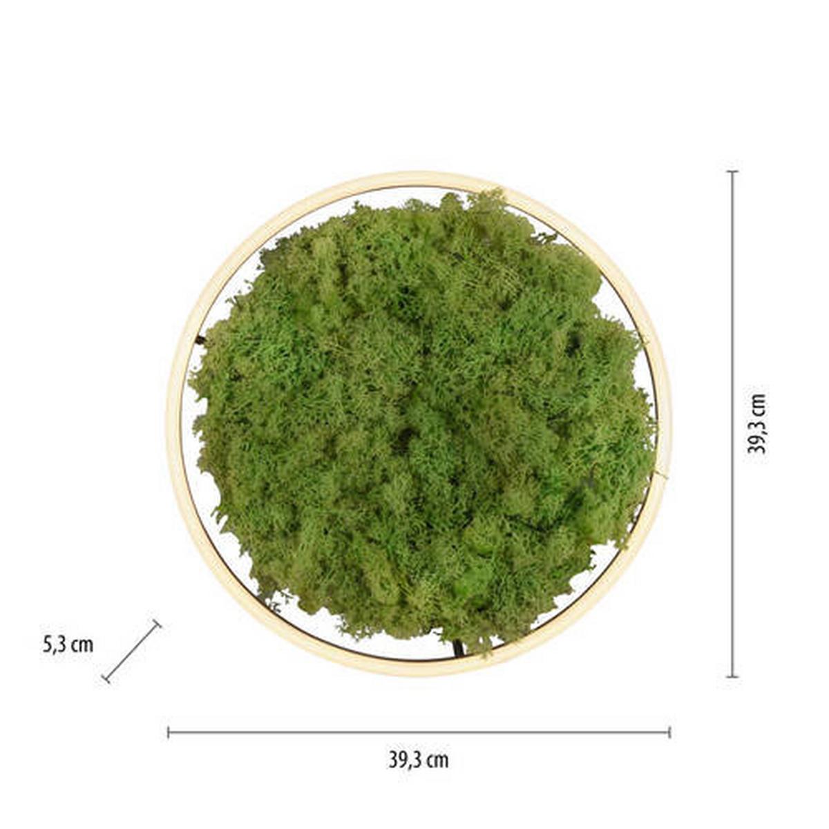 LAMPA SUFITOWA LED 15391-66 GREEN RITUS - kolor naturalny, Natur, tworzywo sztuczne/materiały naturalne (39,3/39,3/5,3cm)