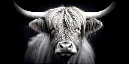 OBRAZ ALUMINIOWY MB-TIG1009 - różnokolorowy, Basics, metal (100/50/2cm) - Euroart