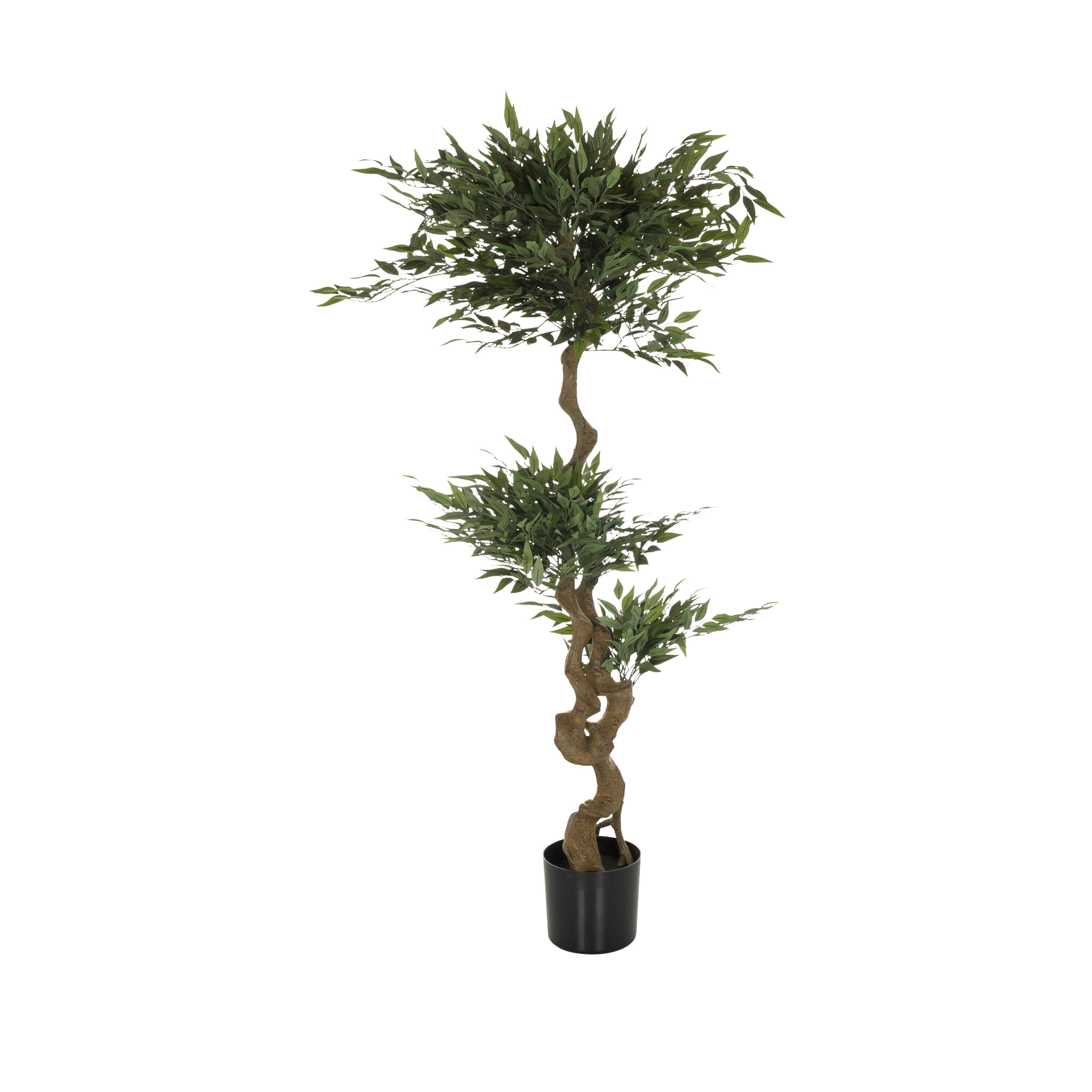 Umetna Rastlina Acacia - črna/zelena, Basics, umetna masa/tekstil (45/155/45cm) - MID.YOU
