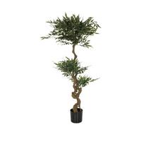 Umetna Rastlina Acacia - črna/zelena, Basics, umetna masa/tekstil (45/155/45cm) - MID.YOU
