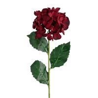 Umetna Roža Hortenzija - temno rdeča, Moderno (60cm) - Mömax
