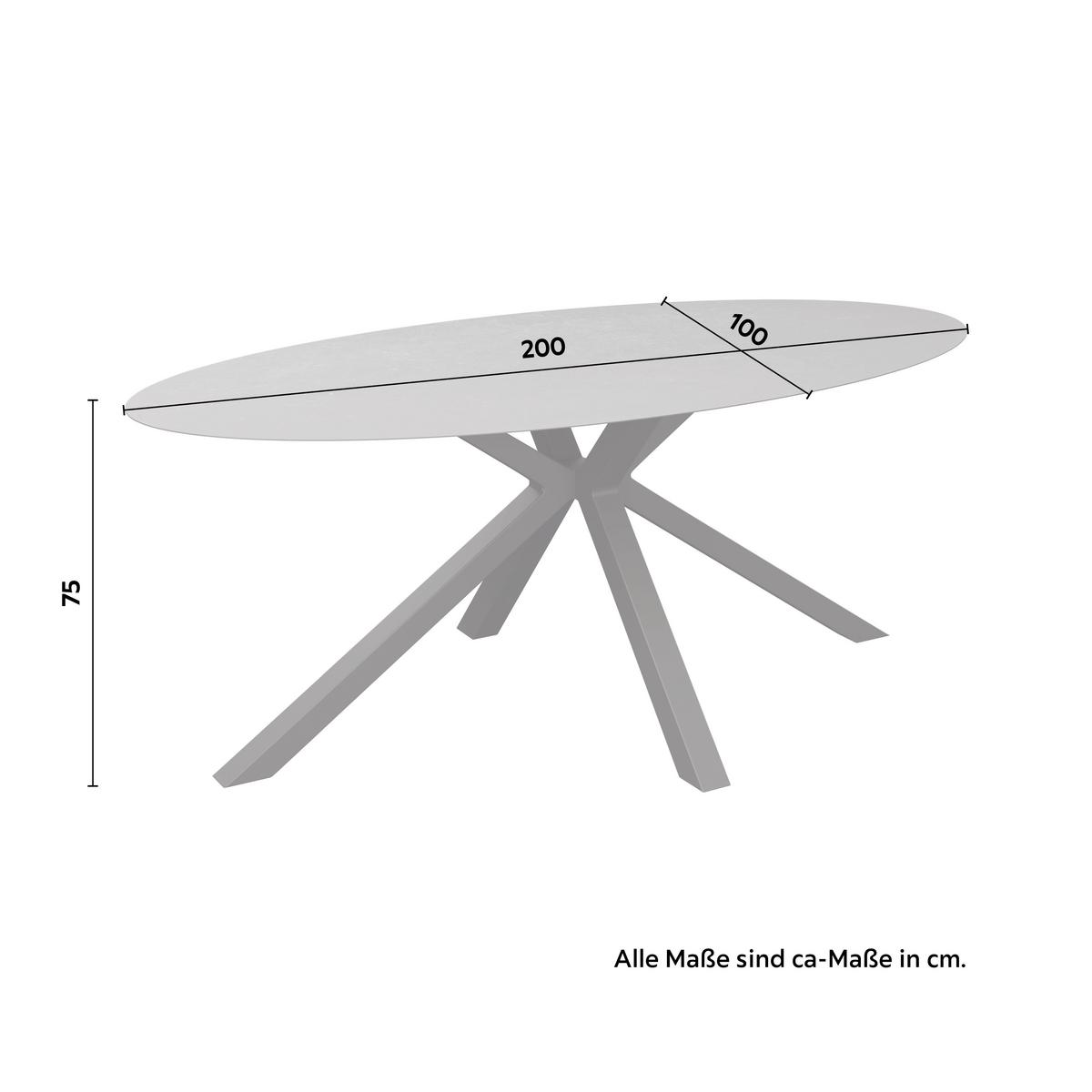 Gartentisch Bari Anthrazit ca. 200x100x75cm - Anthrazit, MODERN, Glas/Metall (200/100/75cm) - Mömax