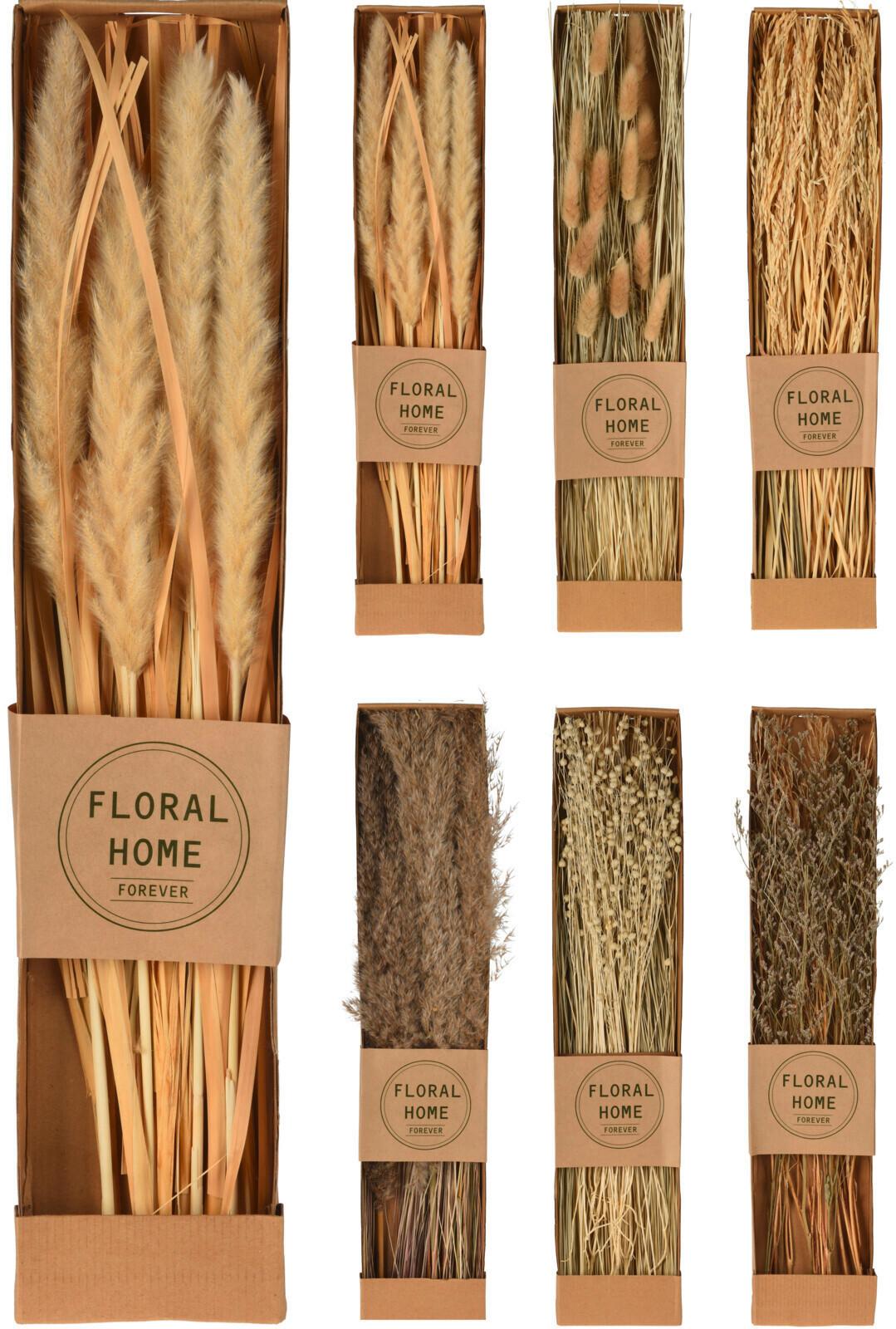 Floare uscată Helene - culoare natur, Konventionell, materiale naturale (60/11,8/3,5cm)