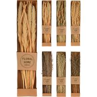 Floare uscată Helene - culoare natur, Konventionell, materiale naturale (60/11,8/3,5cm)