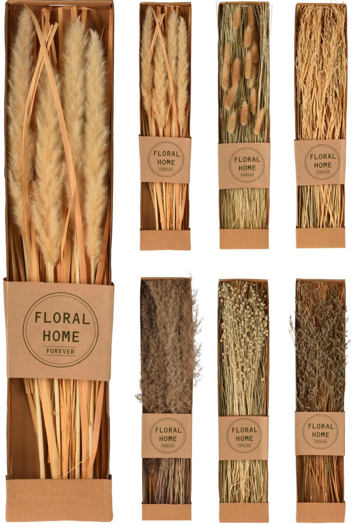 Floare uscată Helene - culoare natur, Konventionell, materiale naturale (60/11,8/3,5cm)