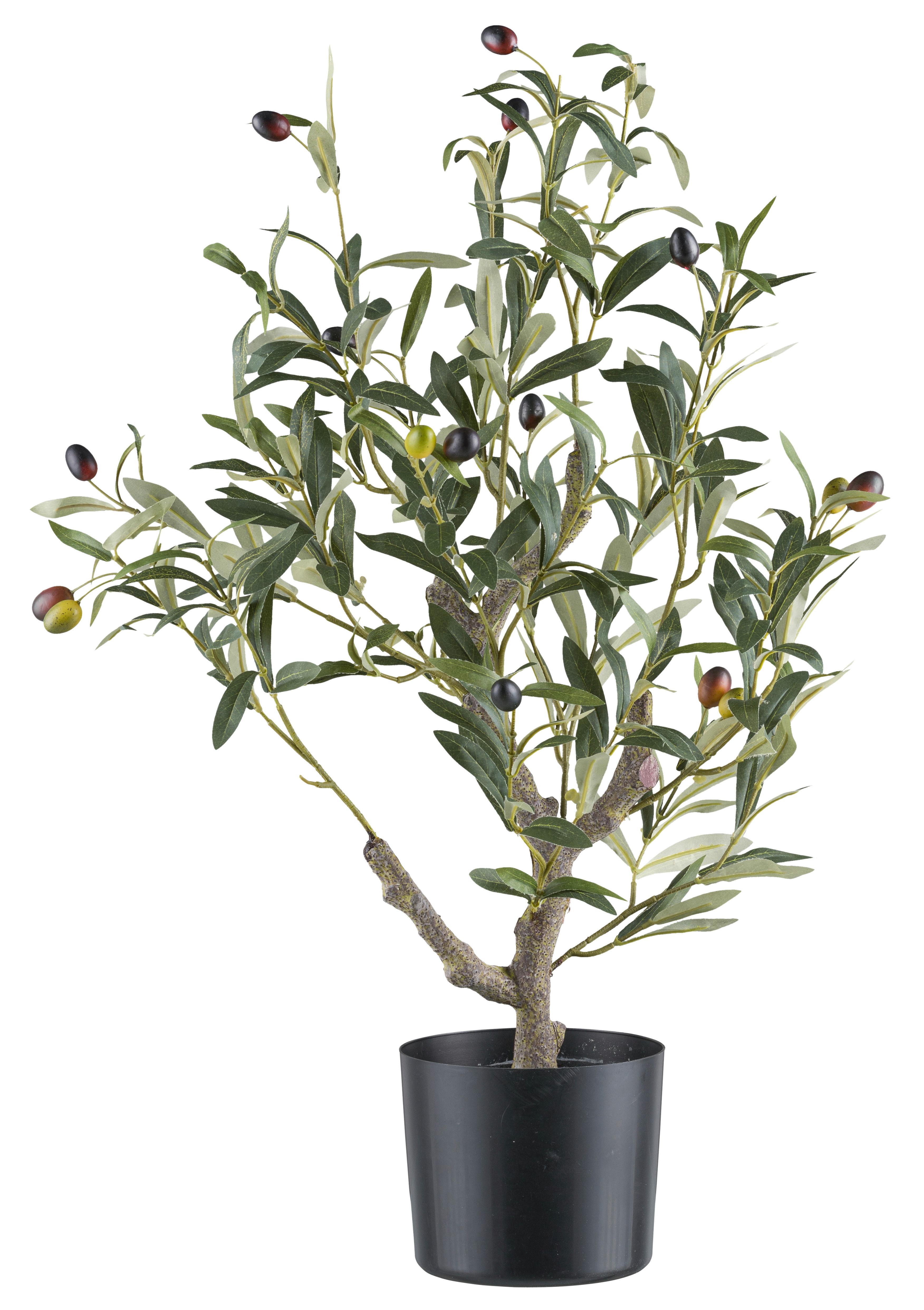Dekobaum Olivenbaum I Grün/Naturfarben - Naturfarben/Grün, KONVENTIONELL, Kunststoff (13/70cm) - Mömax