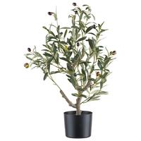 Dekobaum Olivenbaum I Grün/Naturfarben - Naturfarben/Grün, Konventionell, Kunststoff (13/70cm) - Mömax