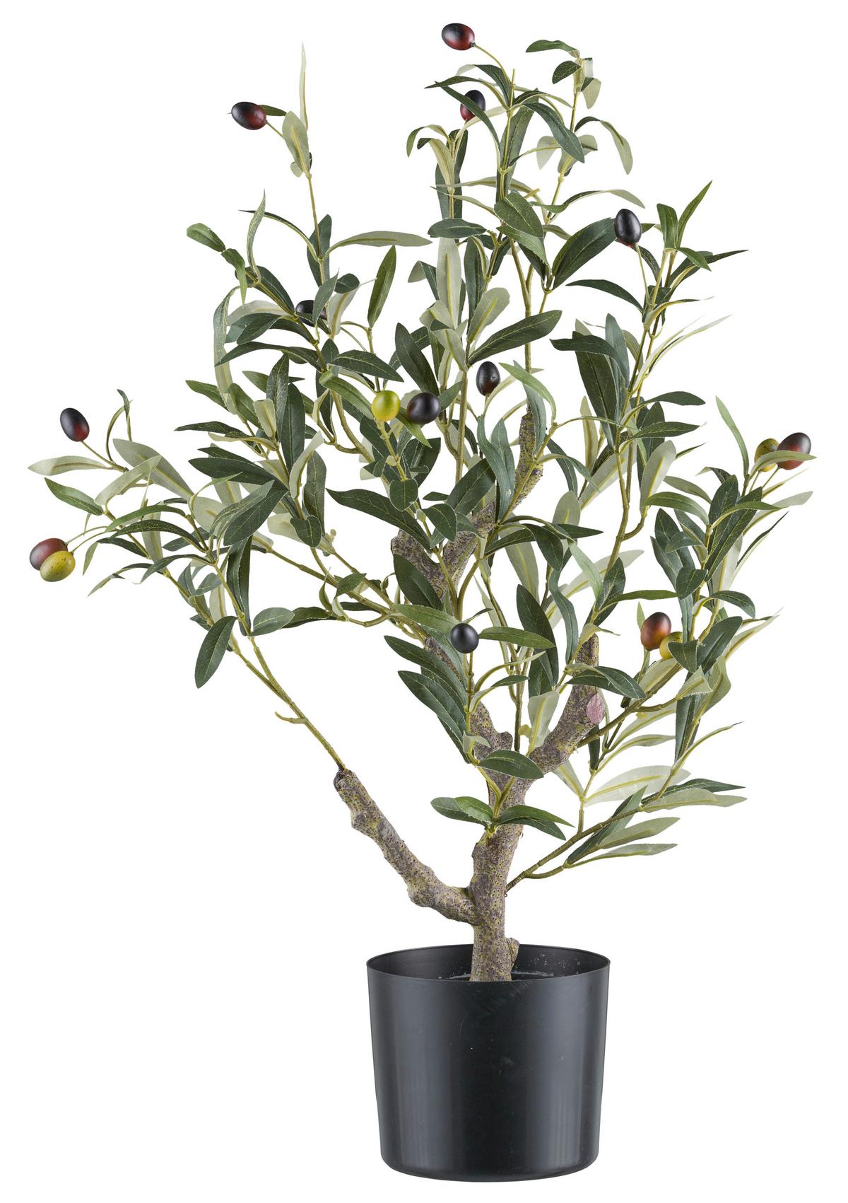 Dekobaum Olivenbaum I Grün/Naturfarben - Naturfarben/Grün, Konventionell, Kunststoff (13/70cm) - Mömax