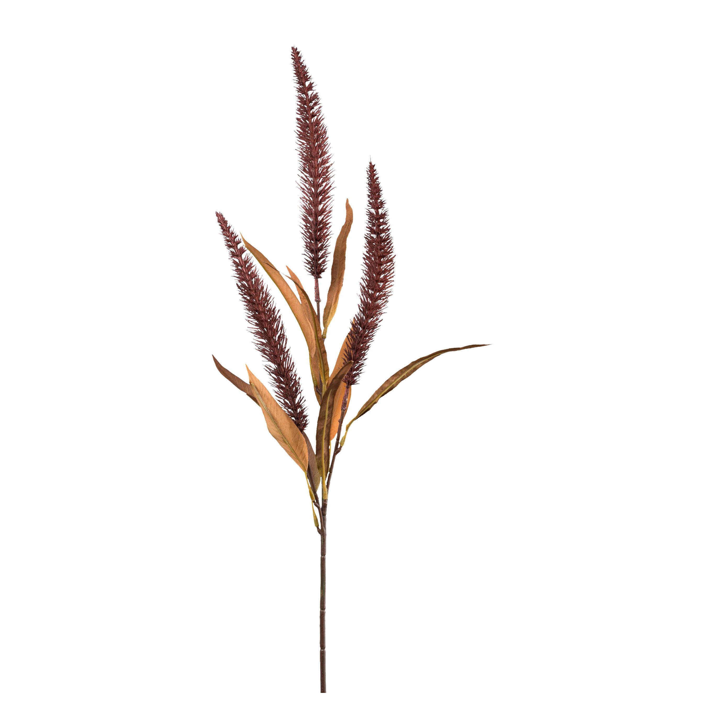 Kunstpflanze Graszweig Braun/Bordeaux - Bordeaux/Braun, LIFESTYLE, Kunststoff (70cm) - Modern Living