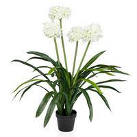 Umetna Rastlina Agapanthus - črna/zelena, Moderno, umetna masa (46/100/46cm) - MID.YOU