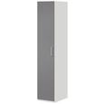 Drehtürenschrank Grau Hochglanz/Weiß - Edelstahlfarben/Weiß, MODERN, Holzwerkstoff/Metall (50/206/57cm) - PREMIUM LIVING