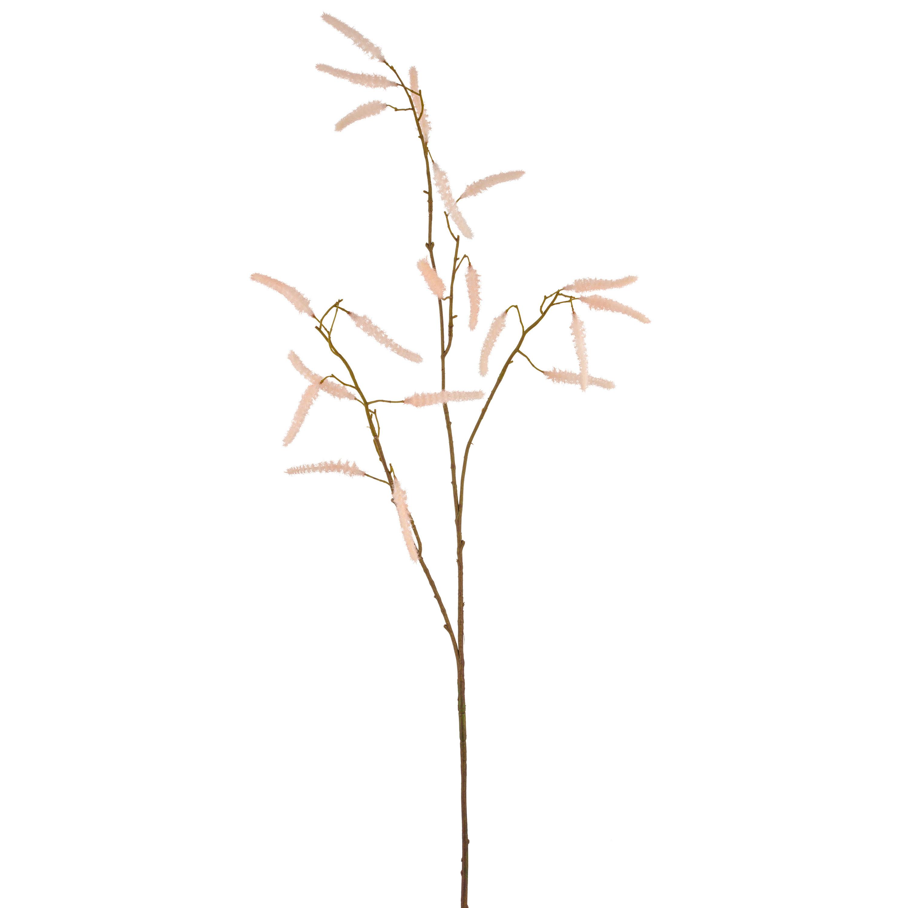 Umetna Rastlina Acalypha I - marelica, Basics, umetna masa (95cm) - Mömax