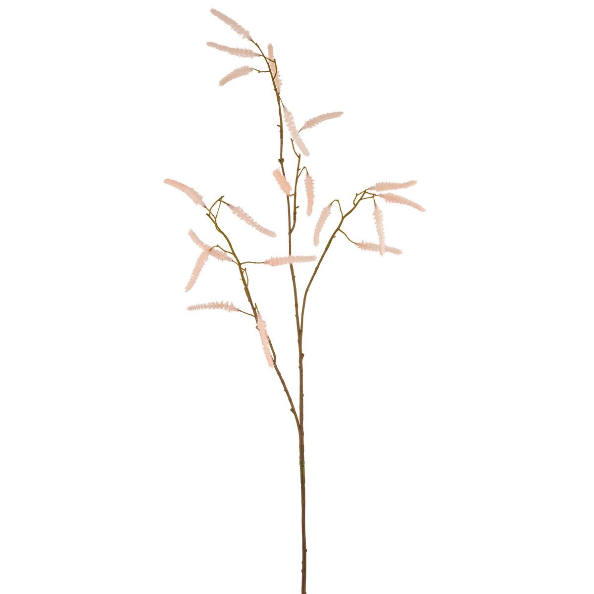 Umetna Rastlina Acalypha I - marelica, Basics, umetna masa (95cm) - Mömax