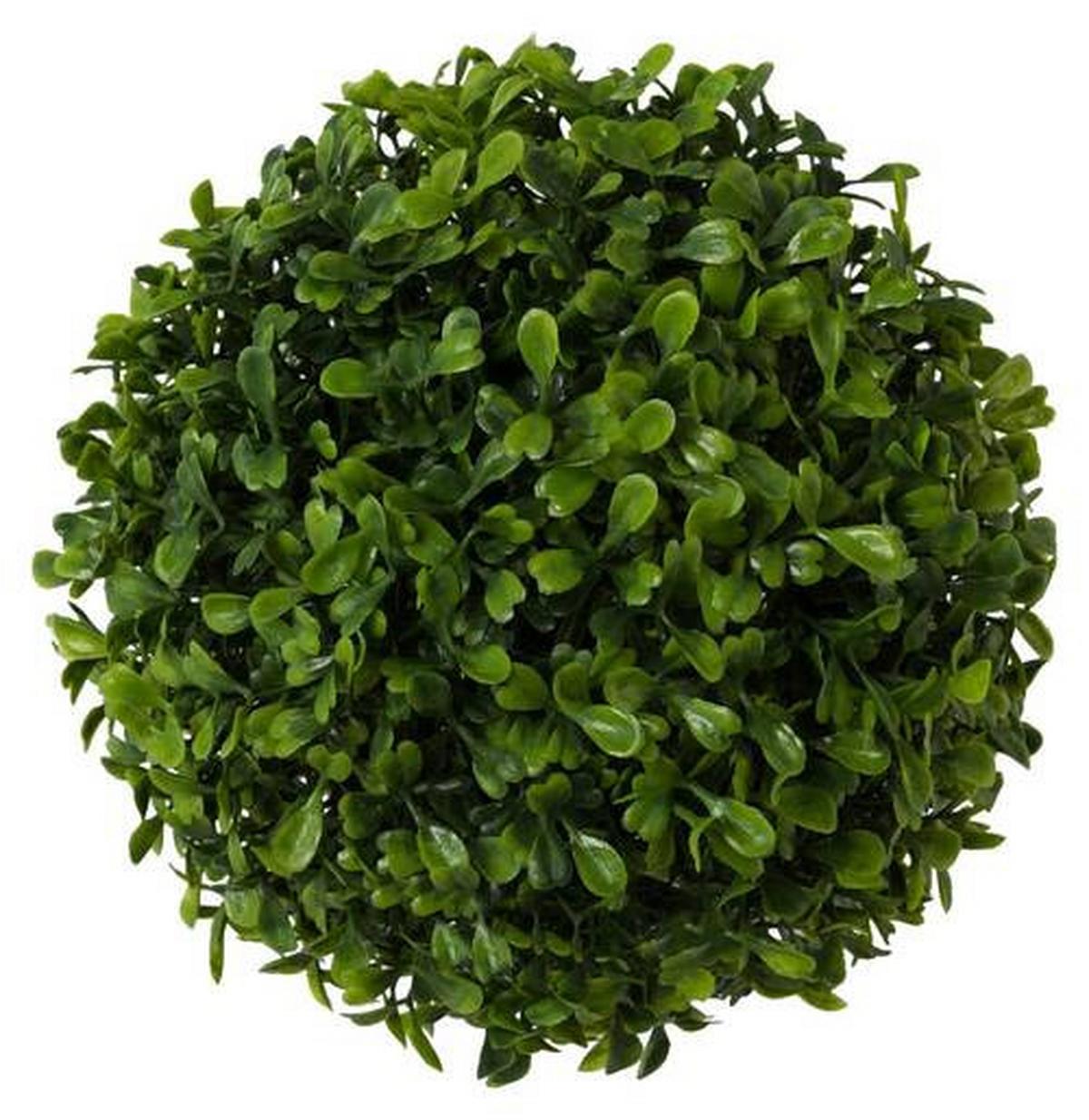 Műnövény Buxus - zöld, Natur, műanyag (18cm) - Modern Living
