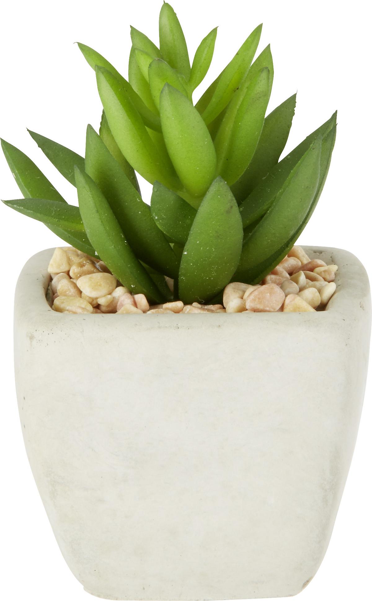 Plantă artificială Sukkulente - verde, Lifestyle, plastic (7-9cm) - Modern Living