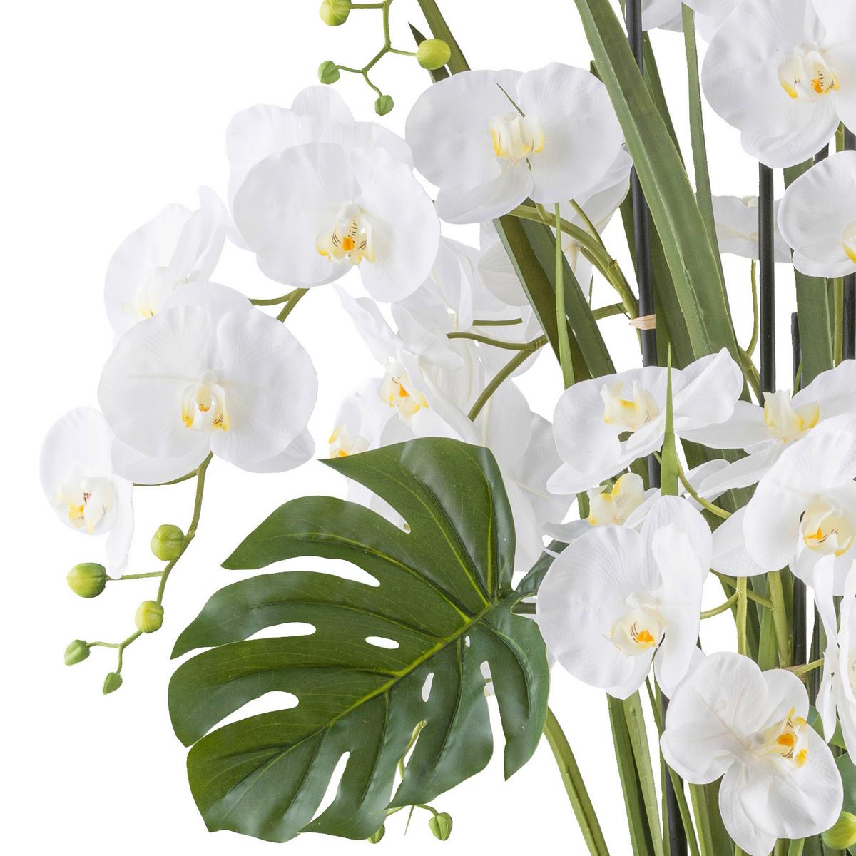 Kunstpflanze Orchideen Creme/Grün - Creme/Weiß, Design, Kunststoff (120cm)