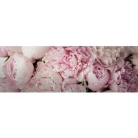 Keilrahmenbild Marcus in Rosa ca. 150x50cm - Hellrosa/Rosa, Basics, Holzwerkstoff (150/50/2.50cm) - Modern Living