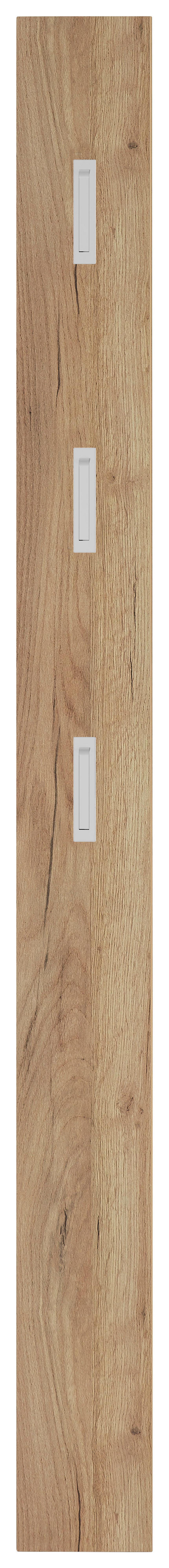 Garderobenpaneel in Eichefarben - Eichefarben, Modern, Holzwerkstoff (15/170/3cm) - Mömax