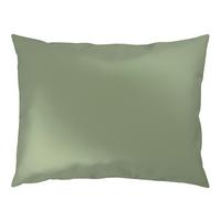 Kissenhülle Xenia Uni Hellgrün ca. 40x60cm - Hellgrün, MODERN, Textil (40/60cm) - Premium Living