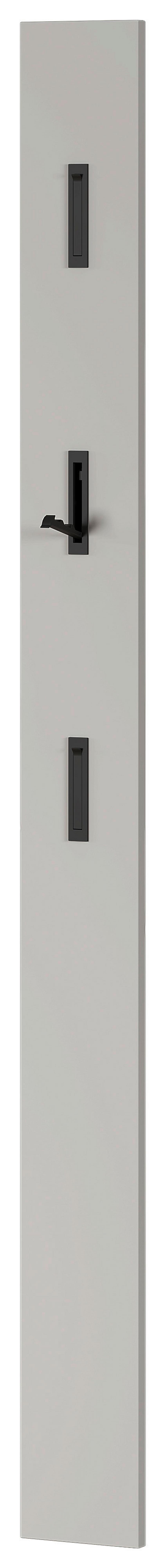 Garderobenpaneel in Kaschmir - Kaschmir, Modern, Holzwerkstoff (15/170/3cm) - Mömax