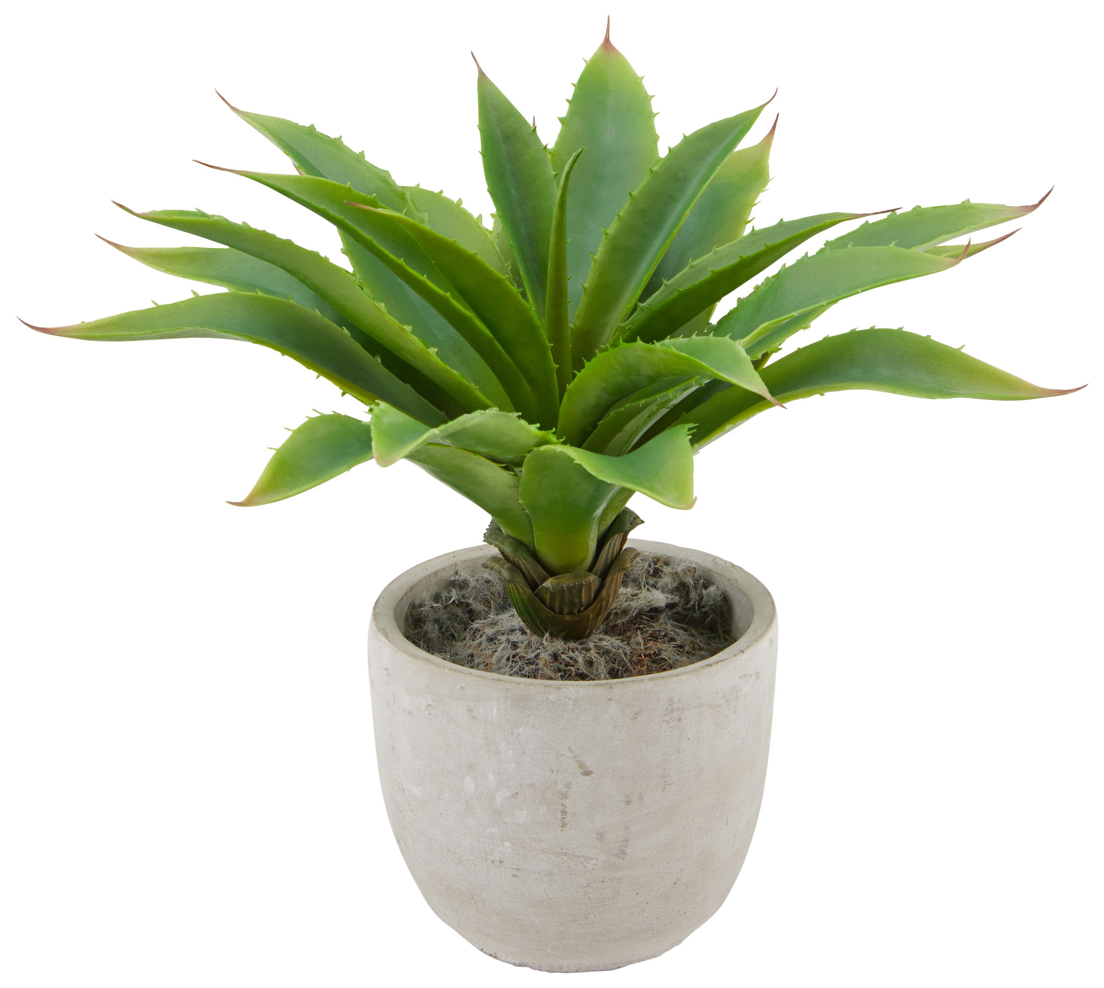 Kunstpflanze Agave Grün - Grün, KONVENTIONELL, Kunststoff (30cm) - Mömax modern living