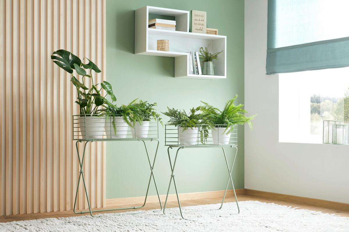 Növénytartó Green Times - pasztellzöld, Basics, fém (50/60/24cm) - Modern Living