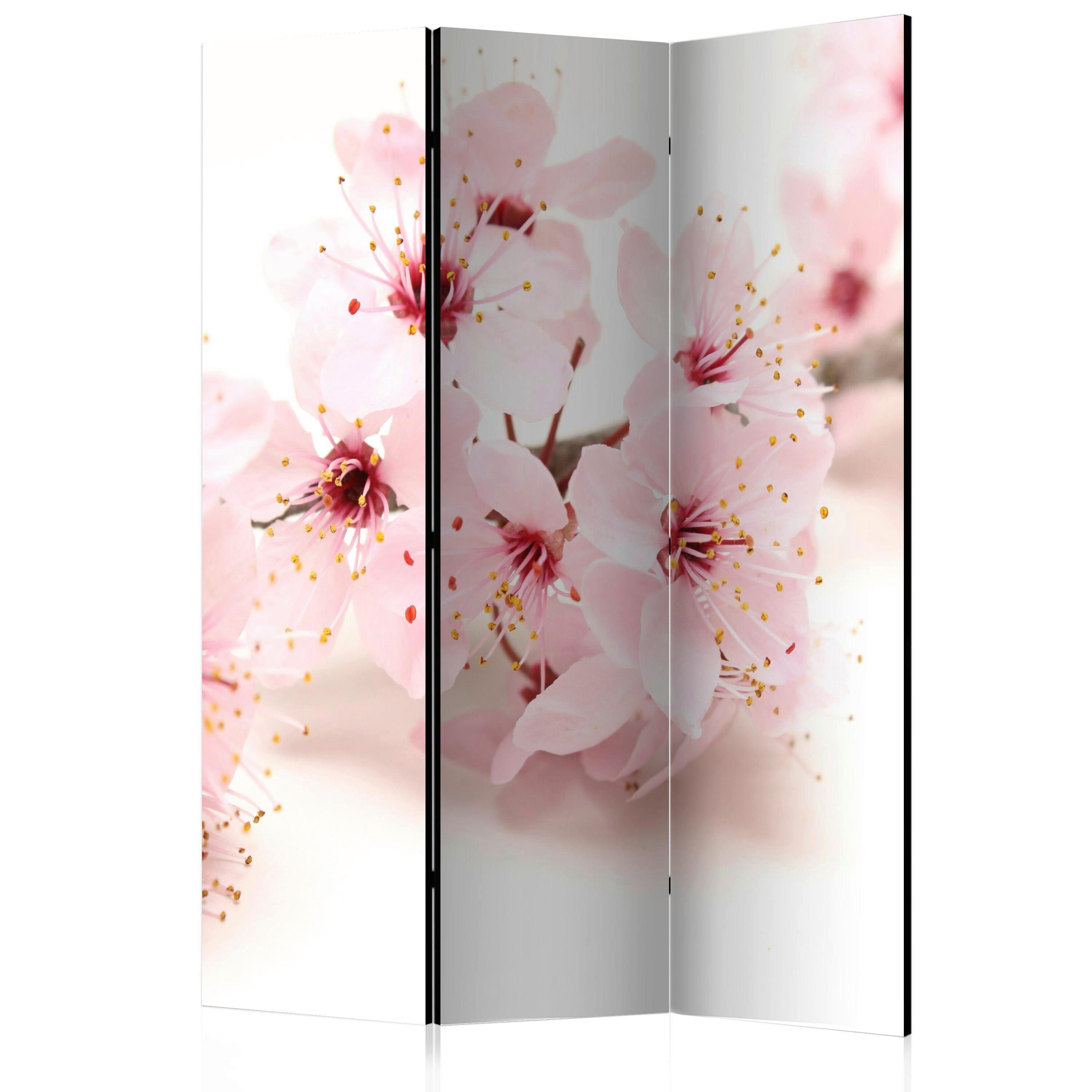 Paravan Cherry Blossom, 3-Delni, Dvostranski - bela/svetlo roza, Basics, tekstil/les (135/172/3cm) - artgeist