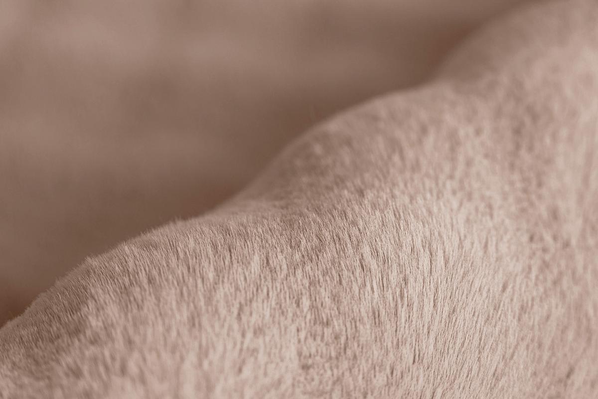 HOCHFLORTEPPICH Hailey 125 Beige 120 x 160 cm - Beige, Basics, Textil (120/160cm) - Kayoom