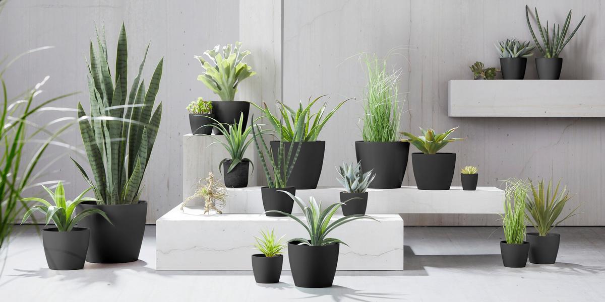 Mască pentru ghiveci LUISA -BASED - alb/negru, Modern, ceramică (12/10cm) - Best Price